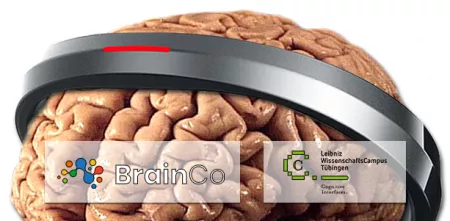 Ein Gehirn mit einem Stirnband aus Plastik. Davor die Logos von BrainCo und des Leibniz Wissenschaftscampus.