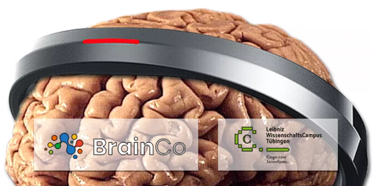Ein Gehirn mit einem Stirnband aus Plastik. Davor die Logos von BrainCo und des Leibniz Wissenschaftscampus.