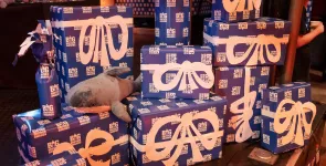 Viele eingepackt Geschenke mit Schliefe und BigBrotherAwards-Geschenkpapier.