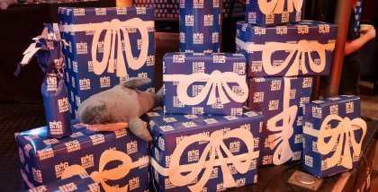 Viele eingepackt Geschenke mit Schliefe und BigBrotherAwards-Geschenkpapier.