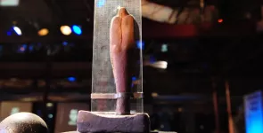 Detailaufnahme der BBA-Statue. Oberkörper vor Glas mit Zahlencodes.